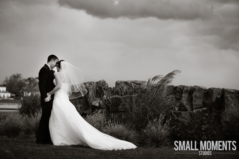 ElanaMikeWeddingBlogGlenIsland008