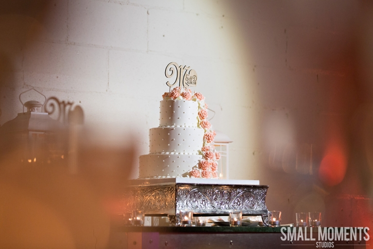 DiaraEricWilshireGrandNJWedding017